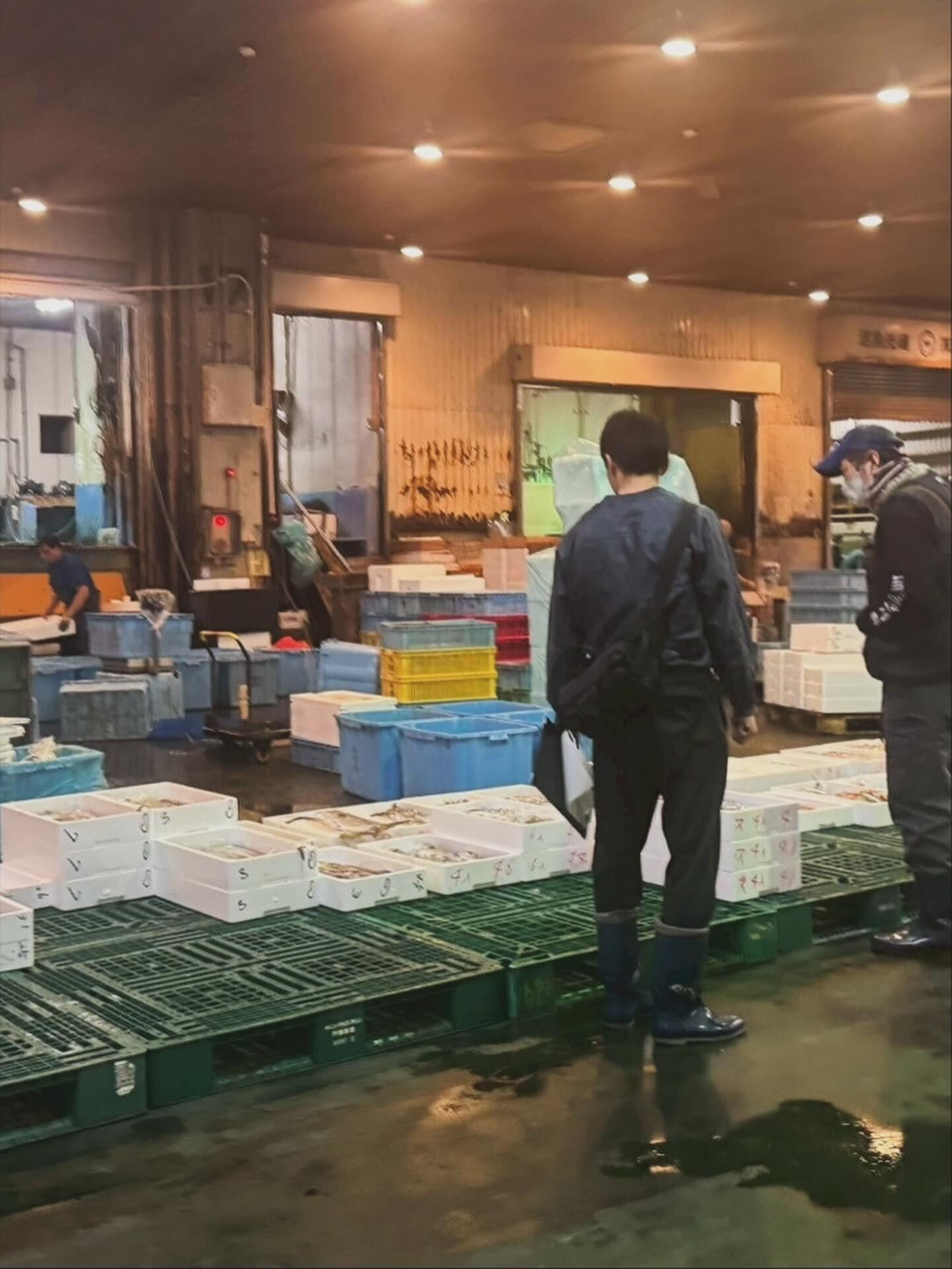 1日の始まり🐟🐟🐟