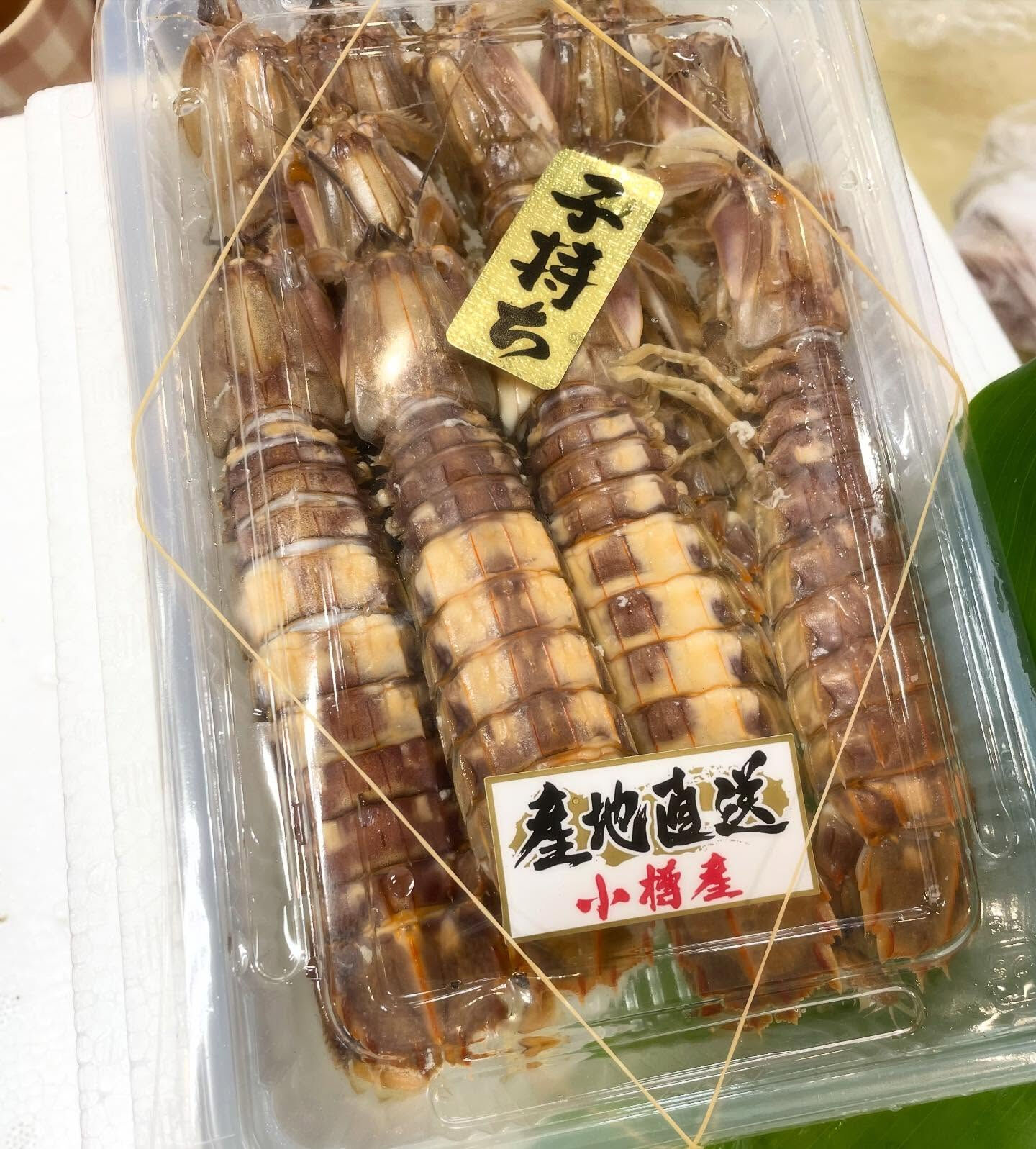 旬の味覚、【シャコ】🦐