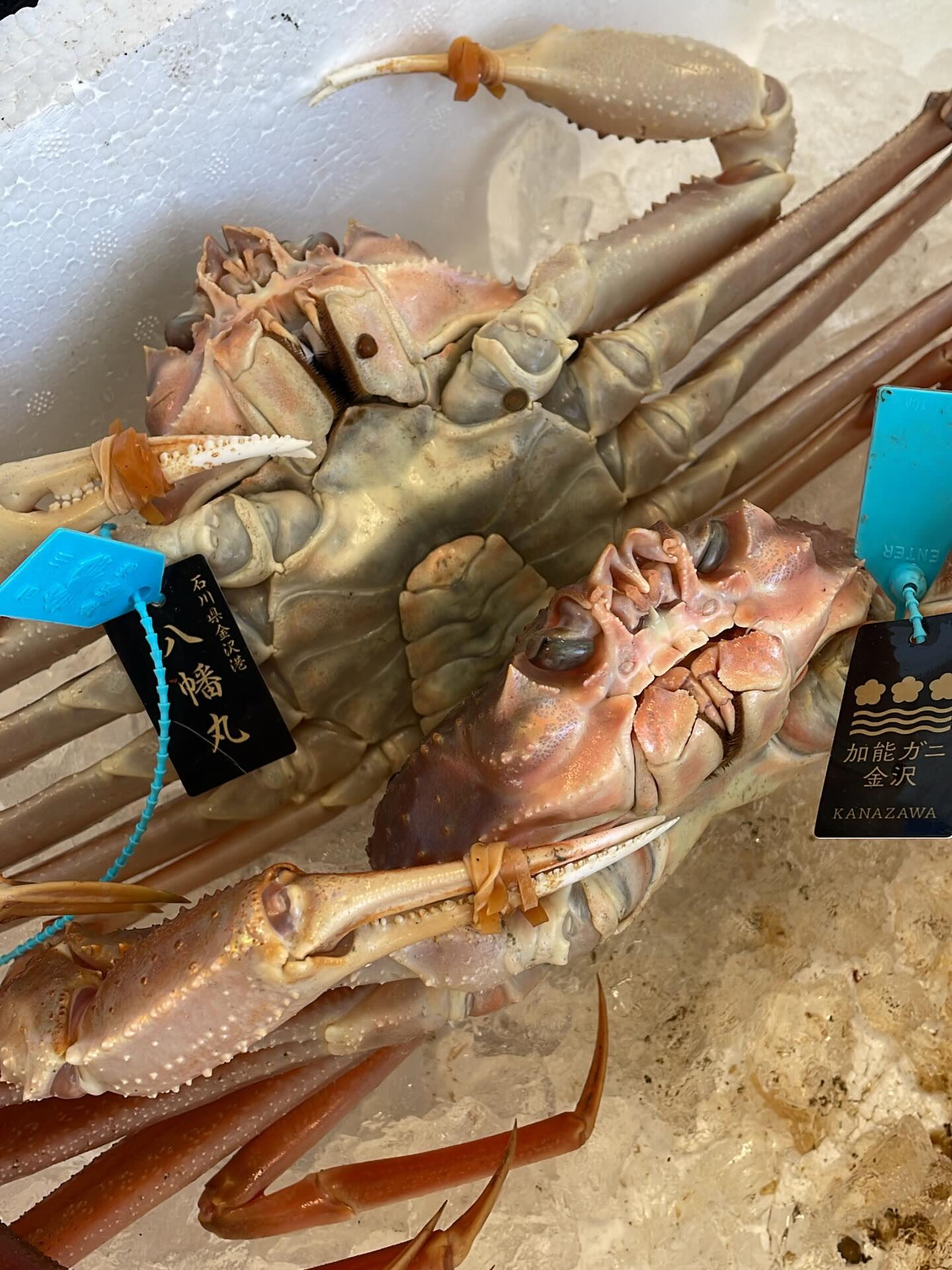🦀【冬の王者・加能ガニ】🦀