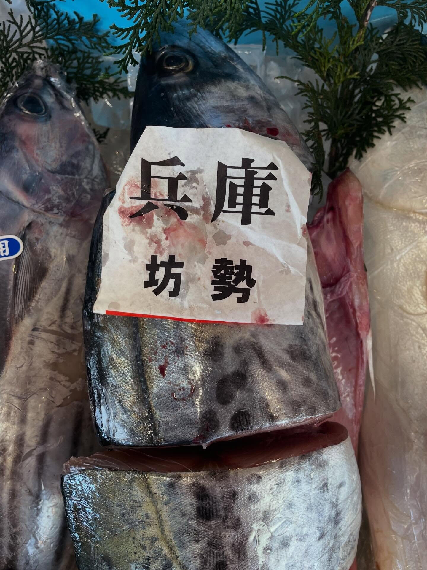 🐟✨【春を食べるならコレ一択】✨🐟
