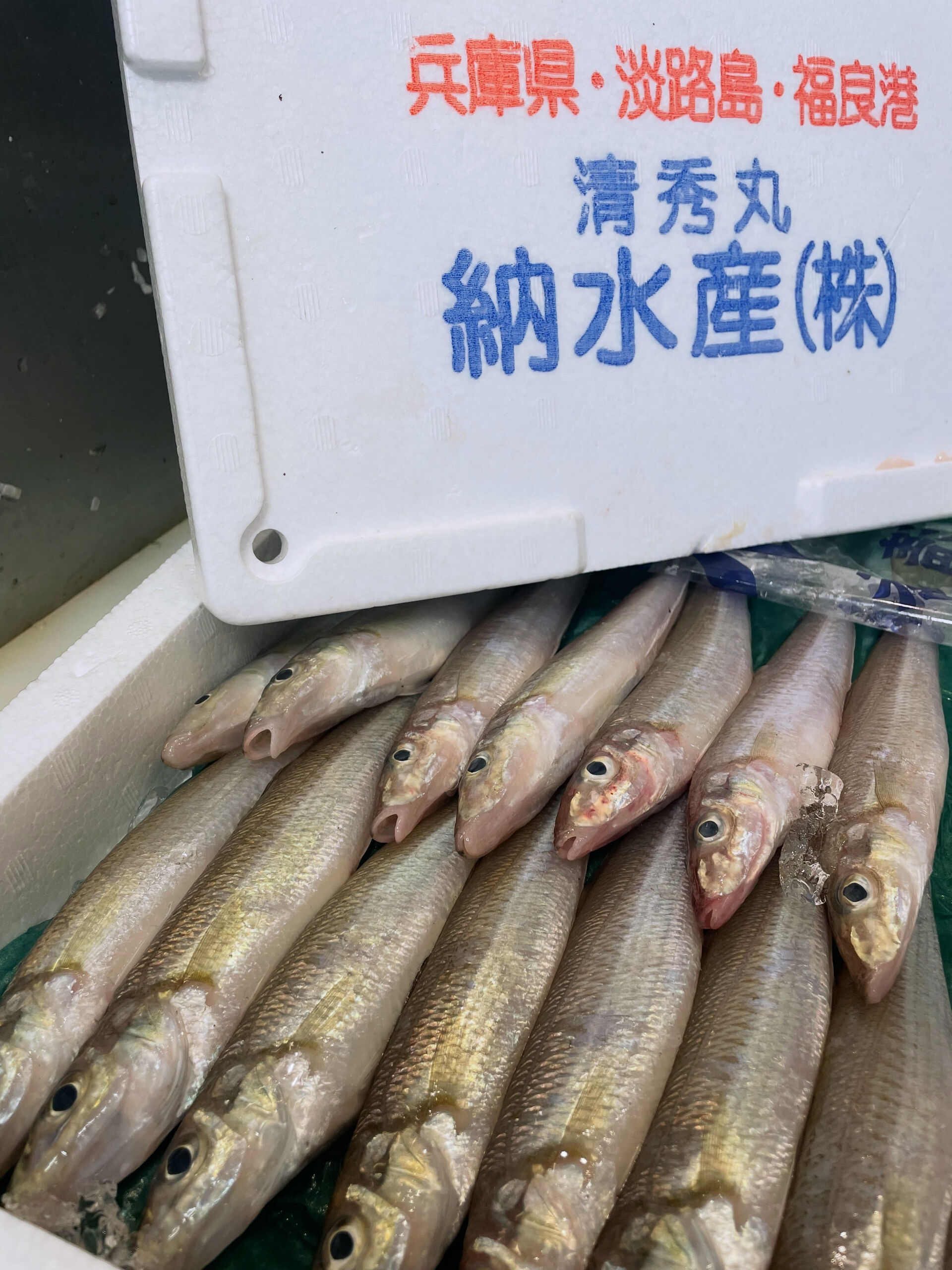 ＼今が旬！上品な白身の王様✨／