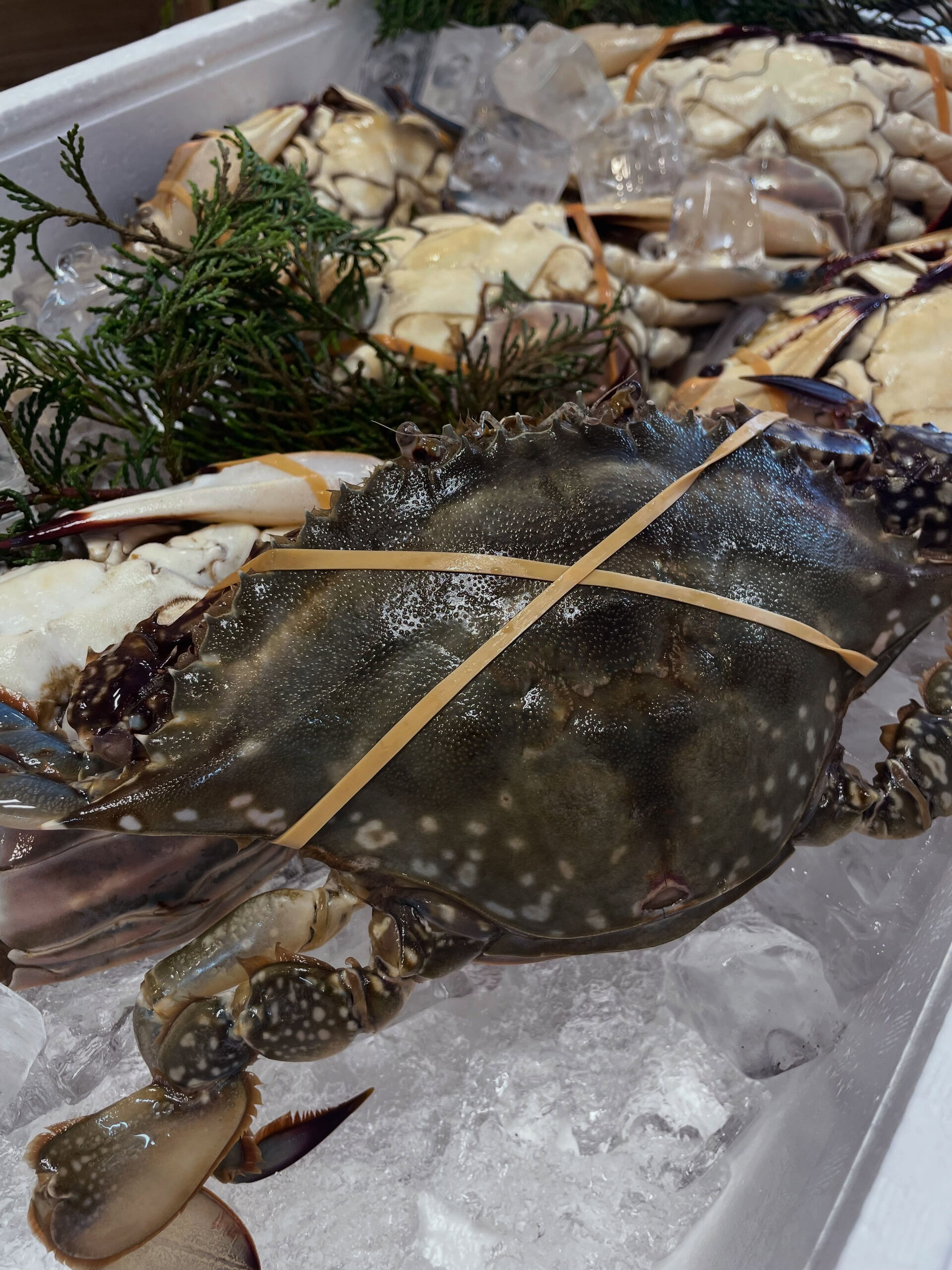 🦀✨【旬の渡り蟹 入荷しました！】✨🦀