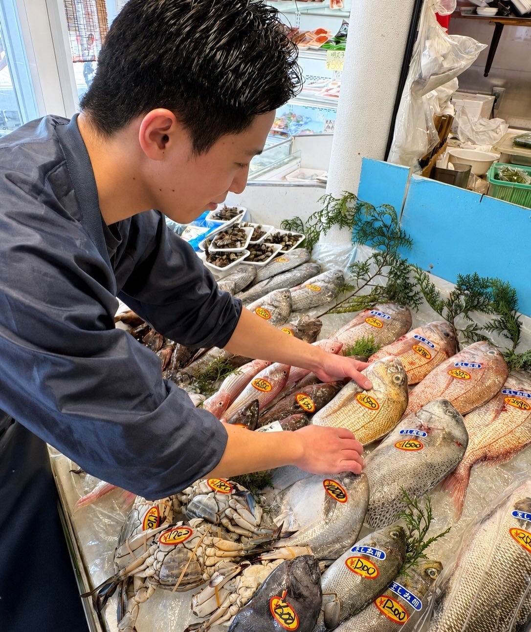 🐟 魚河岸こうちゃんです！