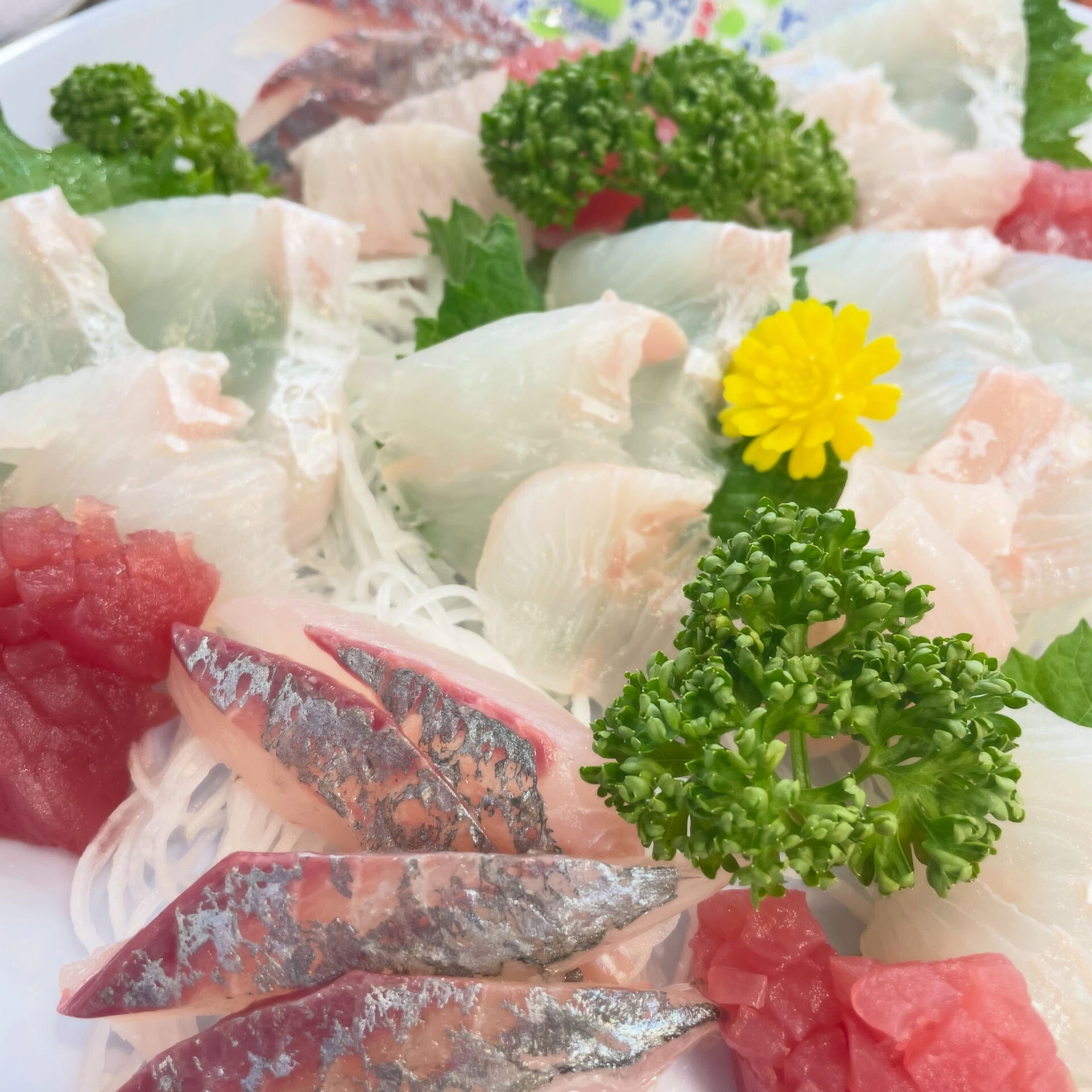 🐟✨ お盆のお刺身盛り、ご予約承ります！ ✨🐟