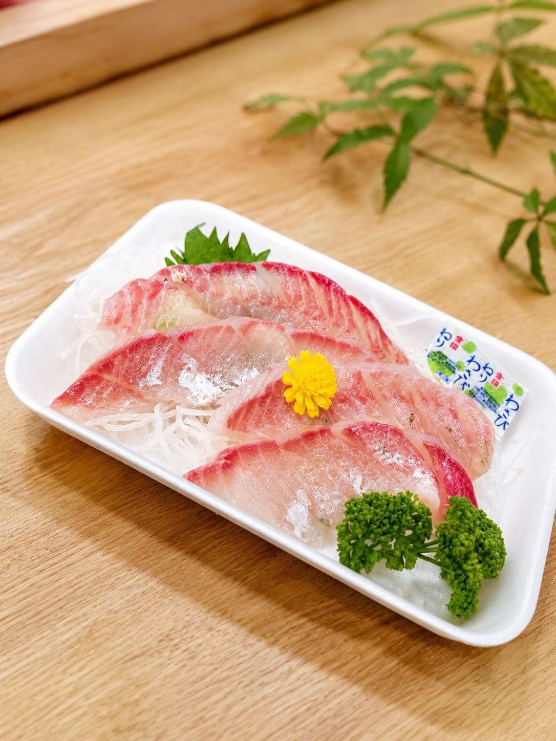 🐟 魚河岸こうちゃんです！