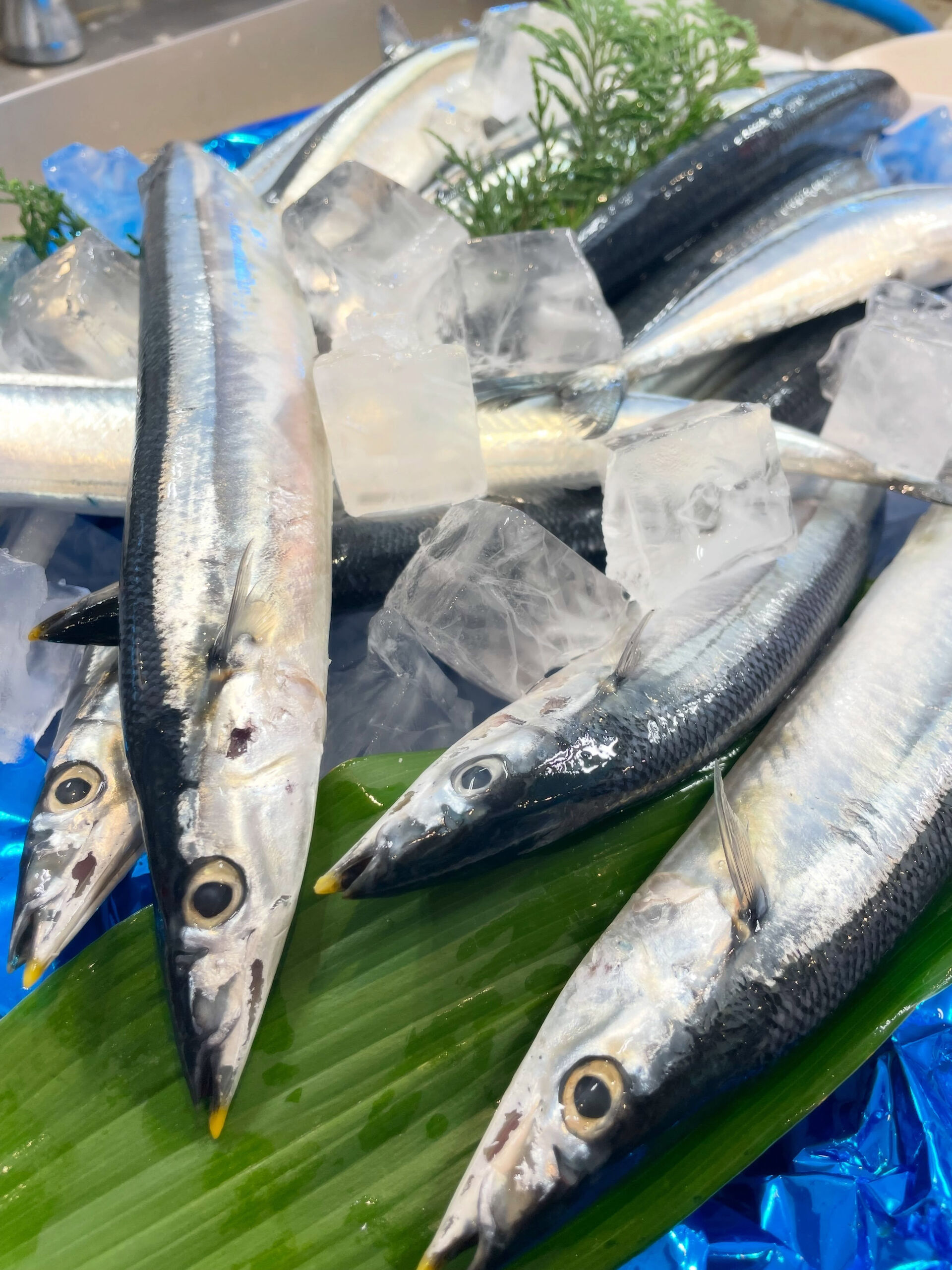 ちょっと早めの秋の味覚🐟🍂