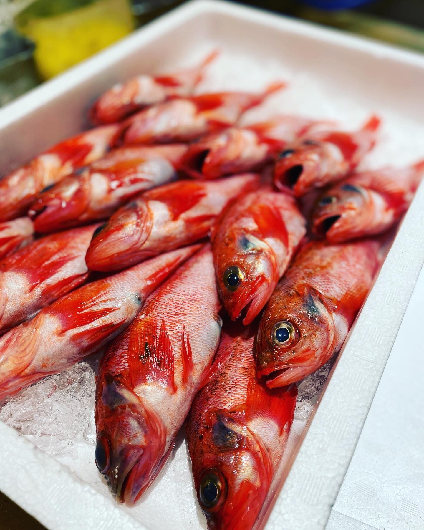 季節ごとに変わる海鮮料理と多彩な献立